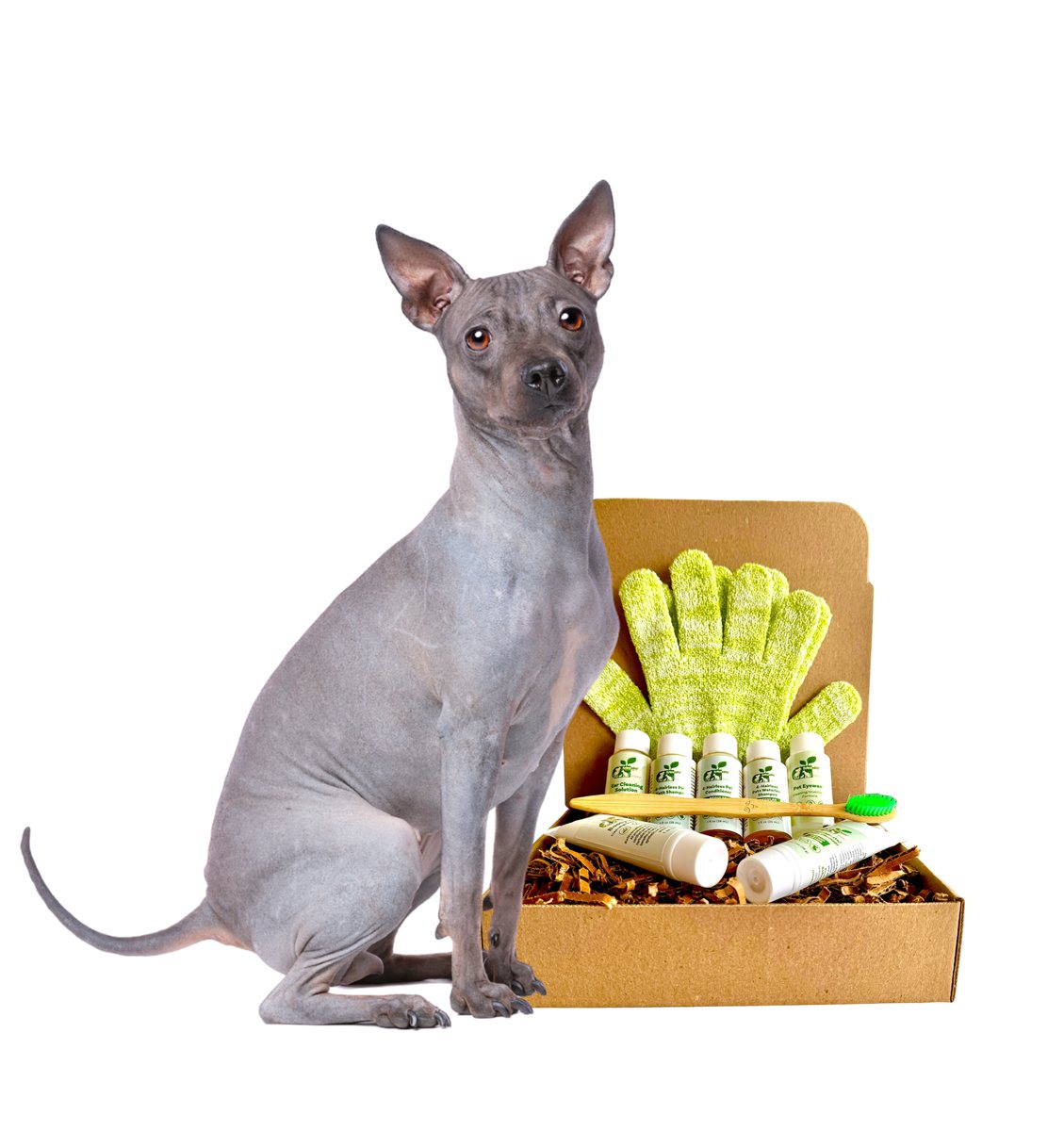 Dog Grooming Kit Complete Regular Skin Care for Hairless