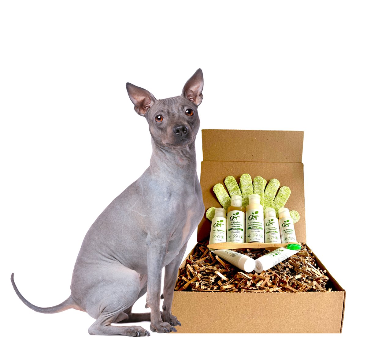 Dog Grooming Kit Restorative Skin Care Set for Hairless Breeds - Detail Angle 3 | Majestic Pet Kingdom