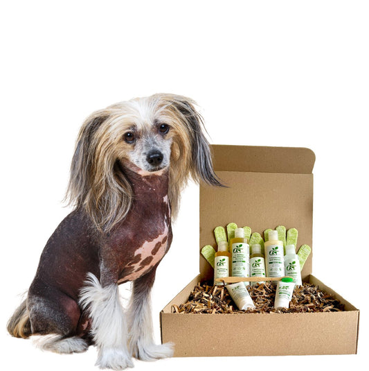 Dog Grooming Kit Sensitive Skin Care Set for Hairless Breeds - Main Feature View | Majestic Pet Kingdom