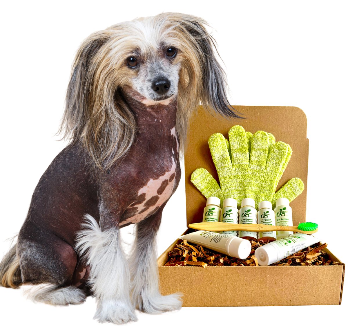 Dog Grooming Kit Sensitive Skin Care Set for Hairless Breeds - Detail Angle 3 | Majestic Pet Kingdom