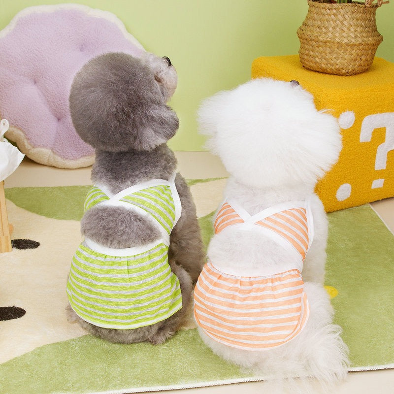 Small Dog Raincoat: Reflective Four-Seasons Jacket