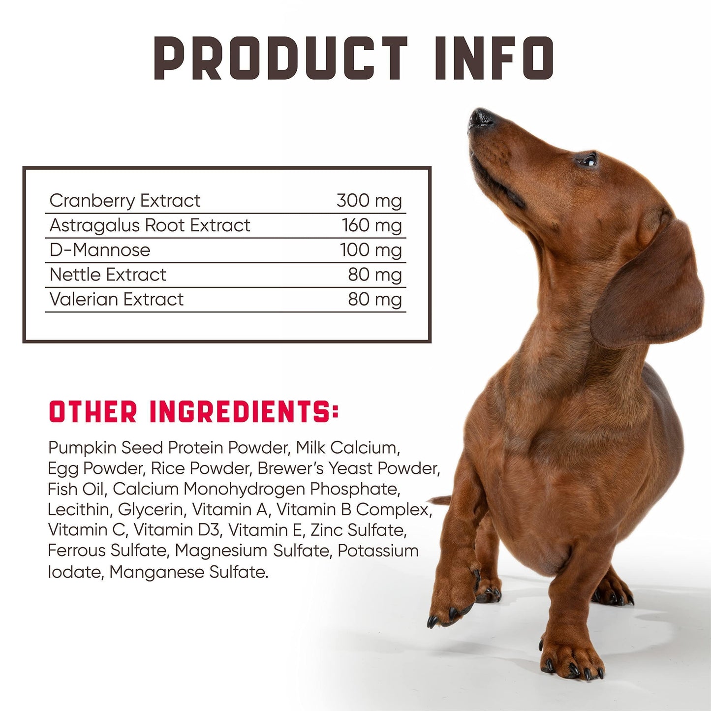Cranberry Chews for Dogs - Urinary Tract Support 180ct
