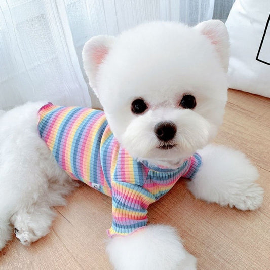 rainbow-undercoat-dog-clos-pet-clos-cat-bears-vip-pomeranian-schnauzer-small-dog-clos-luxury-view-2 | Majestic Pet Kingdom