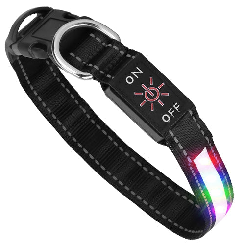 GBruno Light Up Dog Collar | Purrfect Pet Kingdom