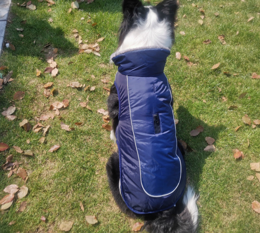 Thickened dog padded coat reflective dog clothing - Majestic Pet Kingdom