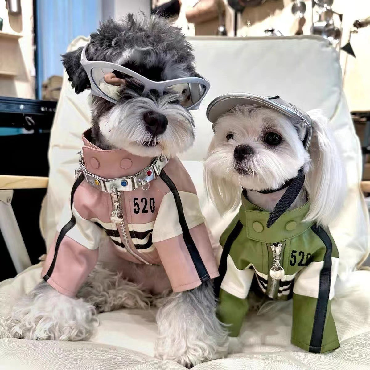 Dog Autumnwinter Clothing Motorcycle Jacket Coat - Majestic Pet Kingdom