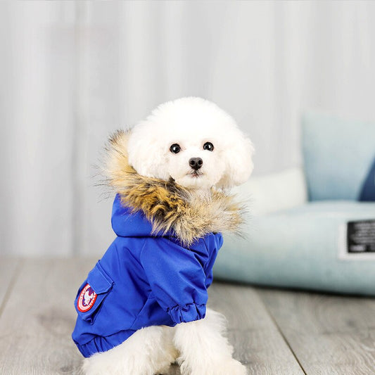 Pet dog clothes wool hat clothes cotton clothes - Majestic Pet Kingdom