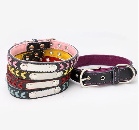 Stainless Steel Iron Dog Collar with Laser Lettering | Purrfect Pet Kingdom