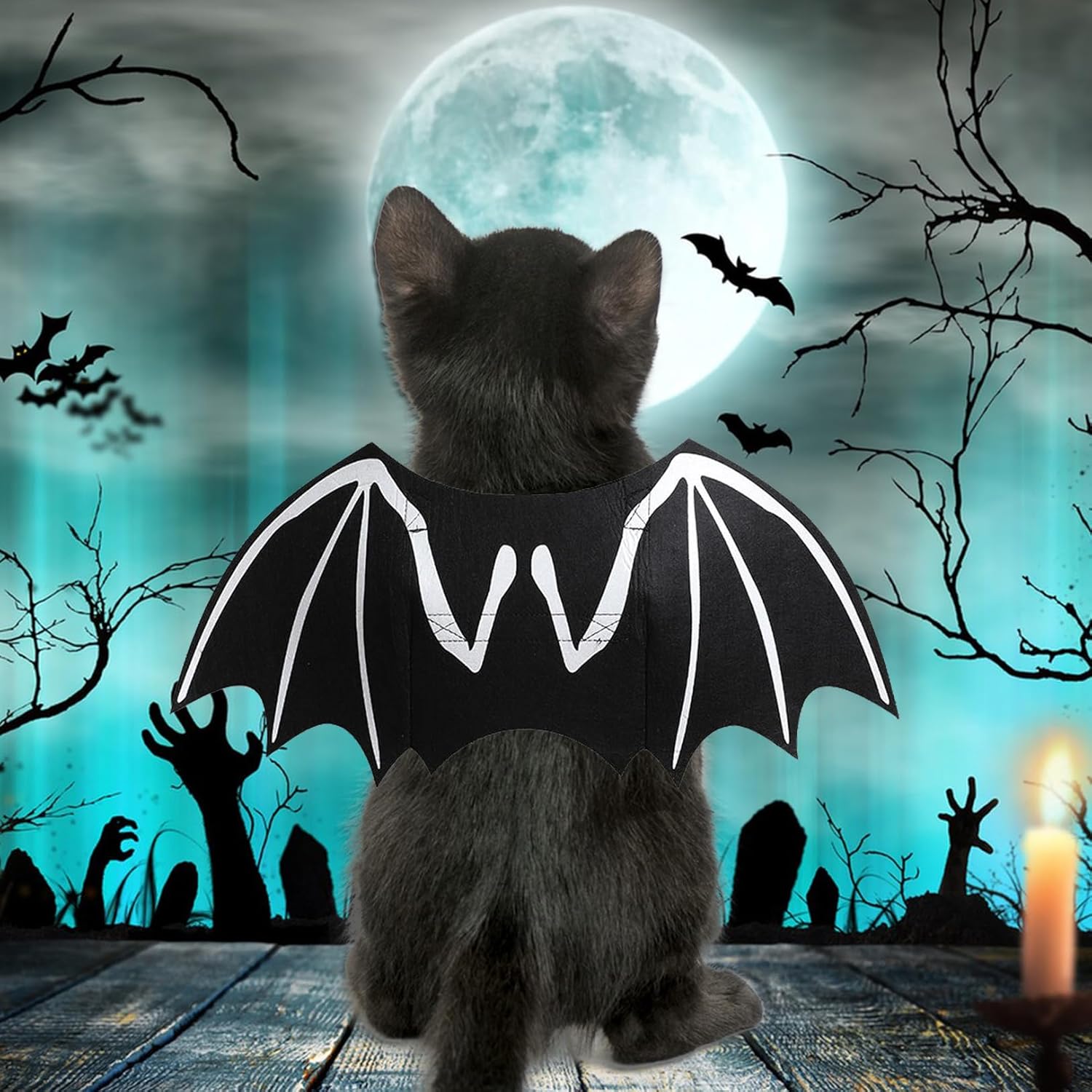 Luxury Pet Essentials - Purrfect Pet Kingdom™