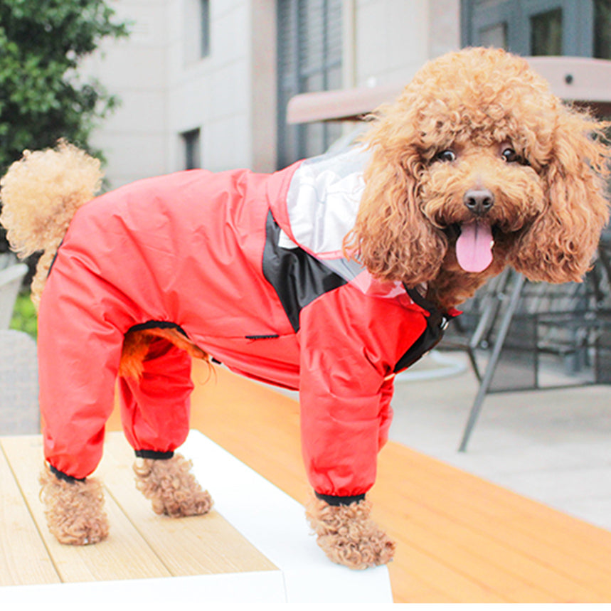 Clothes on rainy days pet poncho - Majestic Pet Kingdom