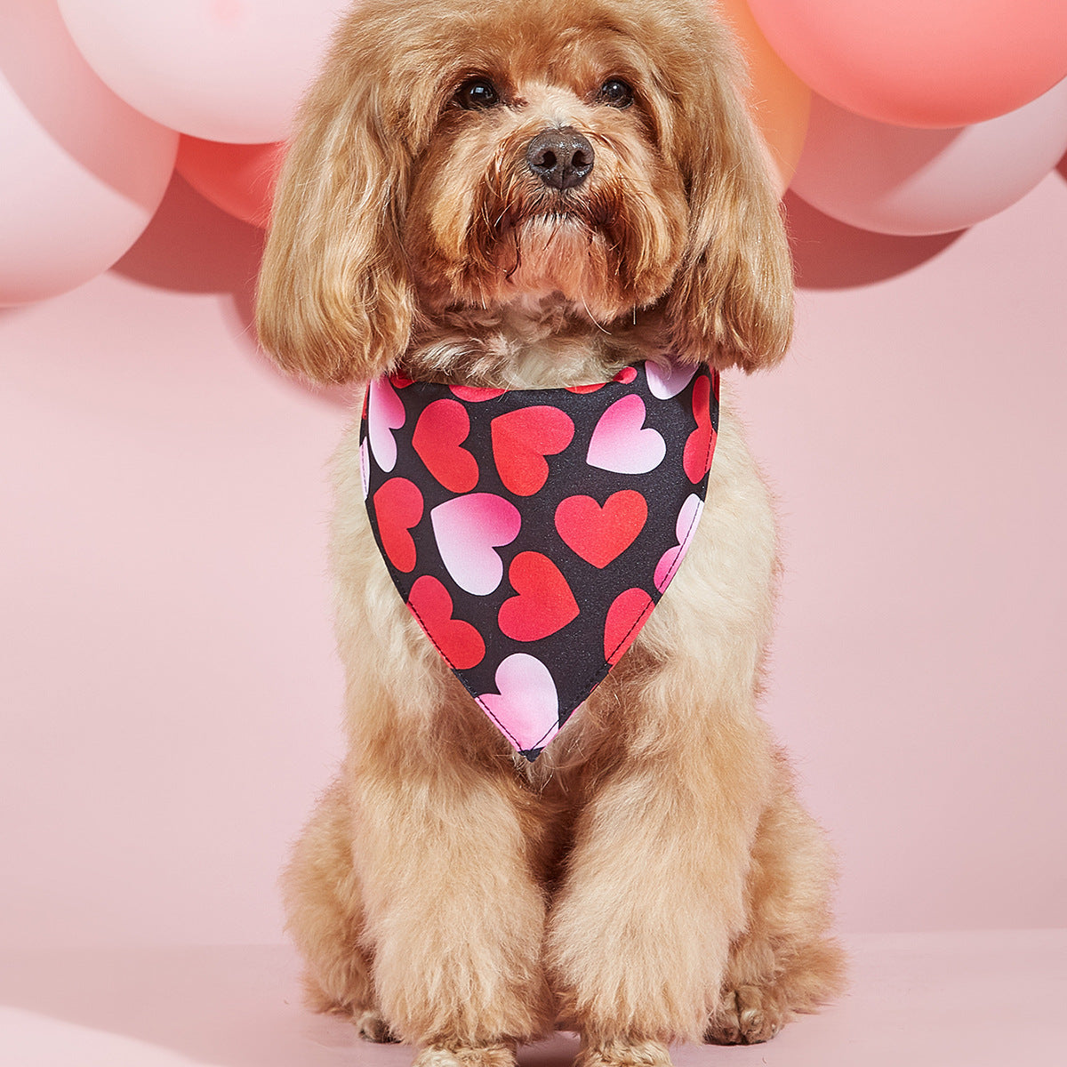 Printed Pet Dog Bandana Scarf & Saliva Towel