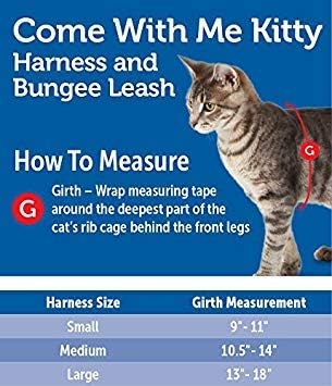 Cat Harness and Leash Set Come With Me Kitty Bungee Black Sm