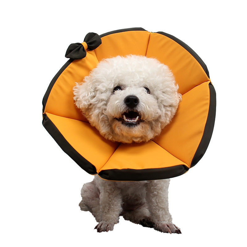 Pet Supplies Dog Sick Care Collar Ergonomic Walking Harness | Majestic Pet Kingdom™