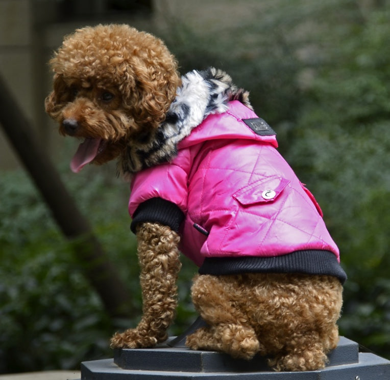 Cross-border pet supplies pet clothes dog clothes autumn and winter fur collar coat pet dog clothing - Majestic Pet Kingdom
