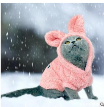 Plush cat clothing - Majestic Pet Kingdom