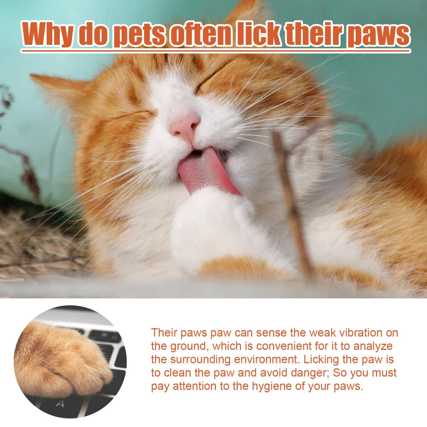 Pet Foot Care Cream For Animals, Cats, Dogs And Paws Foot Care Cream For Soles And Pads | Purrfect Pet Kingdom