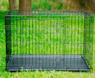 Foldable Heavy Duty Metal Dog Cage & Crate