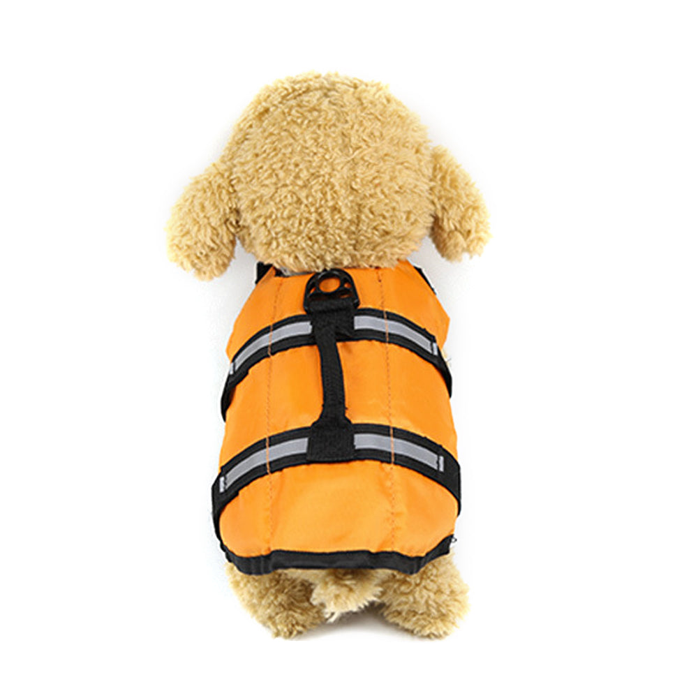 Large and small dogs - Majestic Pet Kingdom