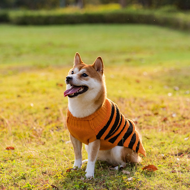 Halloween Dog Sweaters Pet Costume Teddy Warm Leisure Sweater Cosplay Clothes For Dogs Pets Outfits - Majestic Pet Kingdom