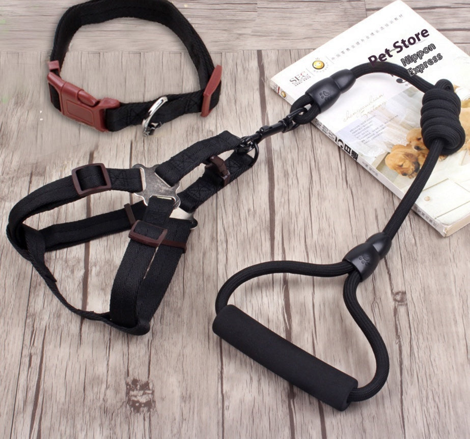Dog Collar and Leash Set Heavy Duty Stainless Steel Metal Chain - Detail Angle 5 | Majestic Pet Kingdom