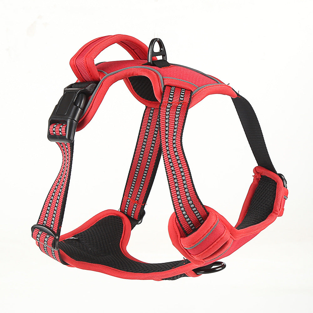 Pet Product - Premium Pet Accessory