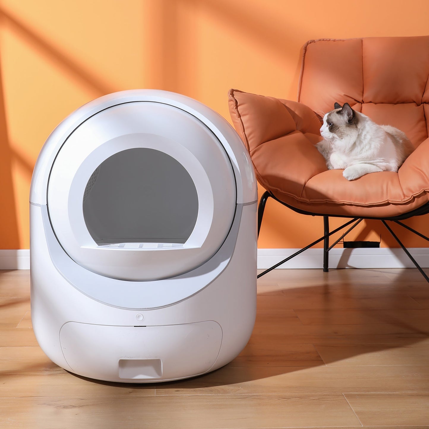 Smart Automatic Cat Litter Box - 5G WiFi & Multi-Cat