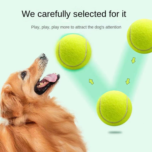 dog-toy-rubber-elastic-tennis-ball-small-medium-sized-dog-bite-dog-toy-luxury-view-2 | Majestic Pet Kingdom