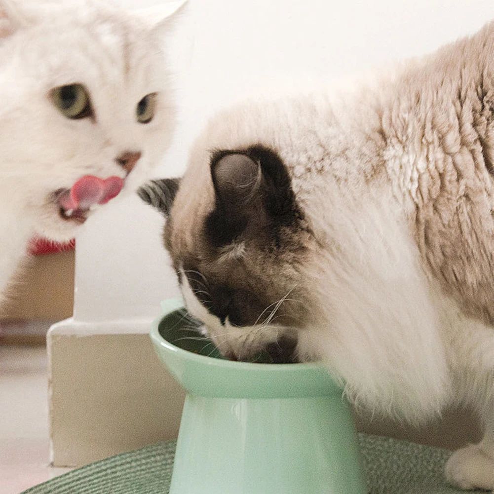 Tilted Cat Food Bowl Elevated Cat Bowl Ergonomic Raised Cat Food Bowl Anti Vomiting Plastic Feeding Bowl Non Slip For Cats Dogs