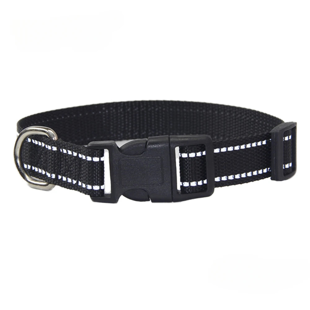 Dog Collar and Leash Set Heavy Duty Adjustable Nylon Walking Kit - Detail Angle 5 | Majestic Pet Kingdom
