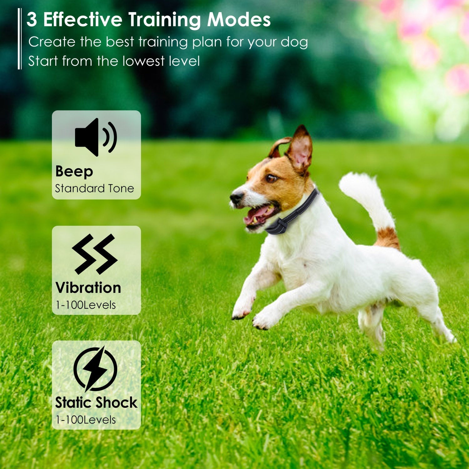 Dog Training Collar IPX7 Waterproof Pet Beep Vibration Electric Shock Collar Rechargeable Transmitter Receiver Trainer w/ Remote - Majestic Pet Kingdom