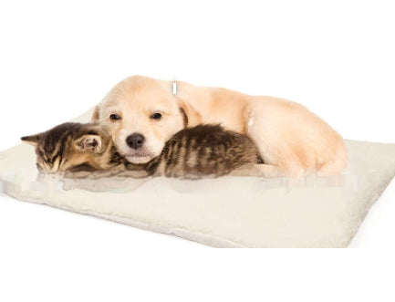 Points Plastic Cloth Self Heating Cat Pad