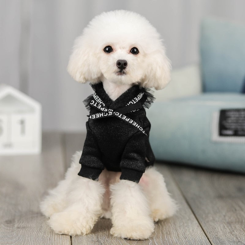New pet clothing - Majestic Pet Kingdom