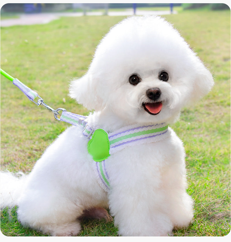 Luxury Pet Essentials - Purrfect Pet Kingdom™