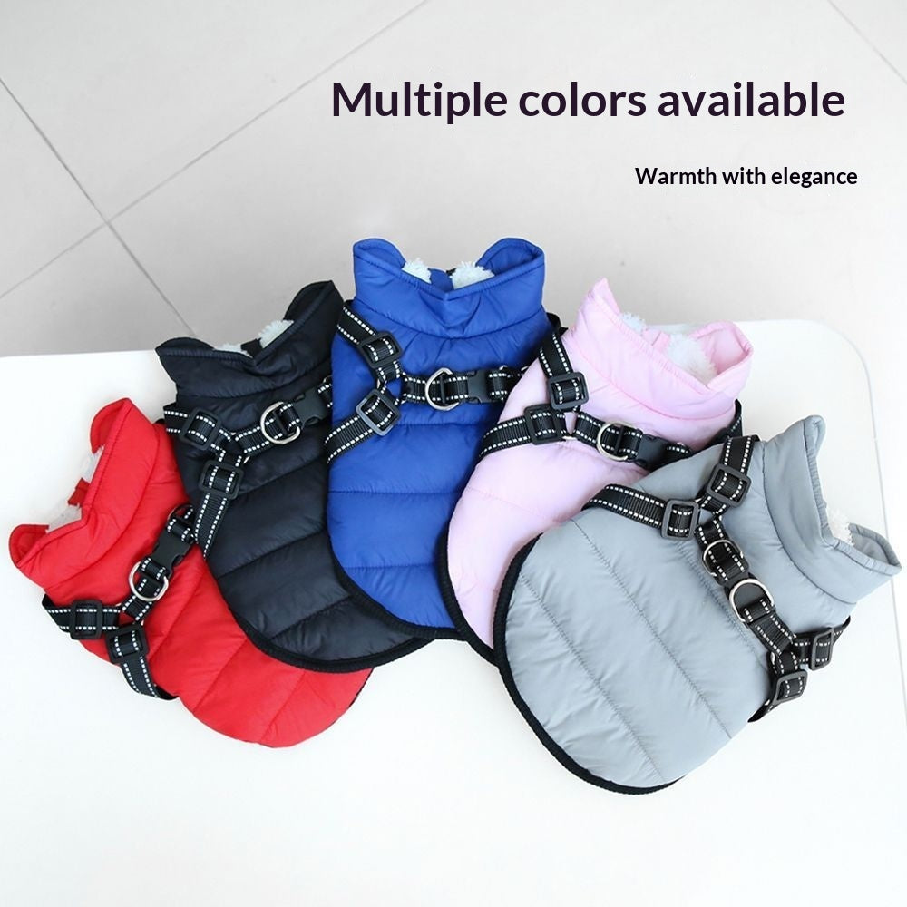 Pet Product - Premium Pet Accessory