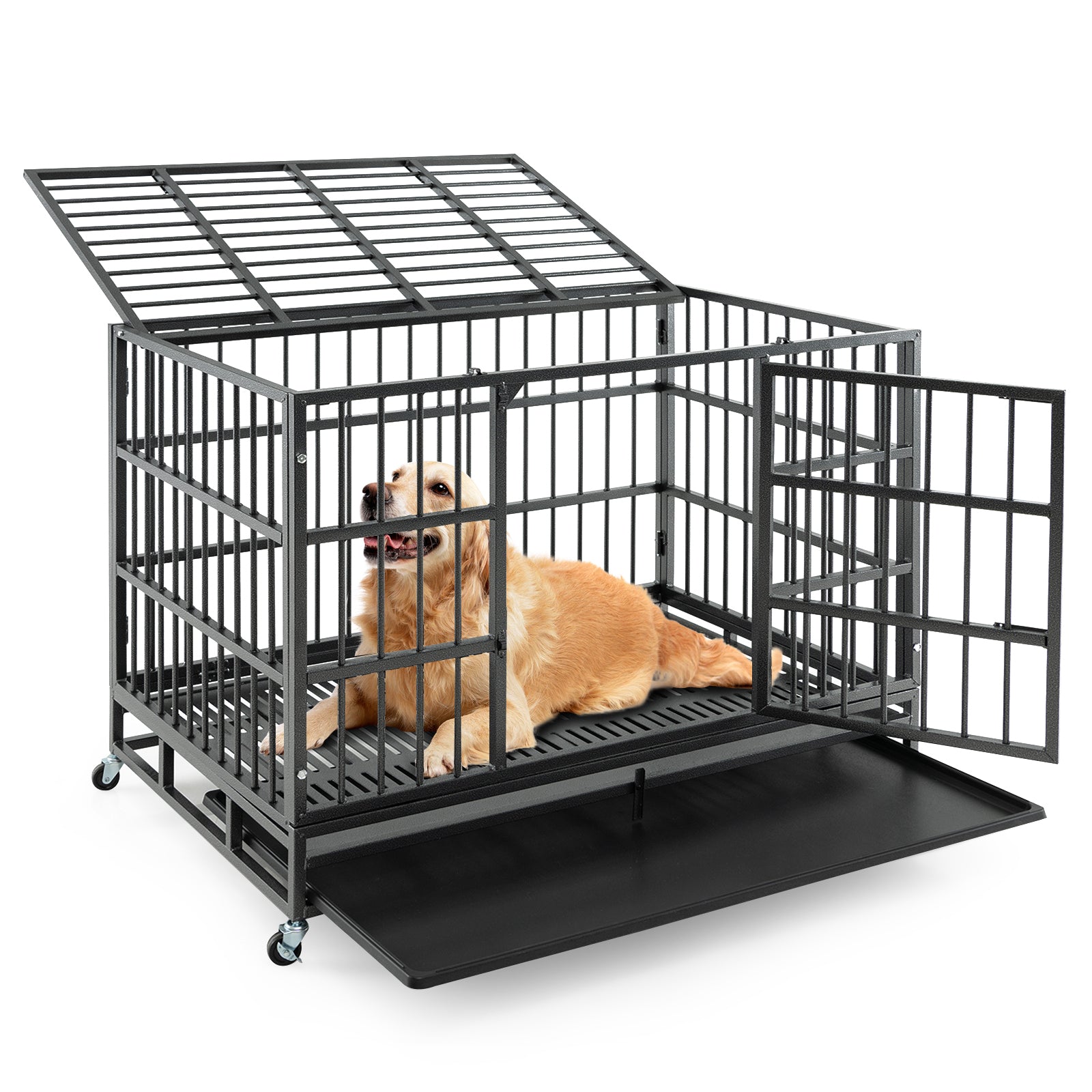 48 Inch Foldable Heavy-Duty Metal Dog Cage with Lockable Rolling Casters and Tray - Majestic Pet Kingdom