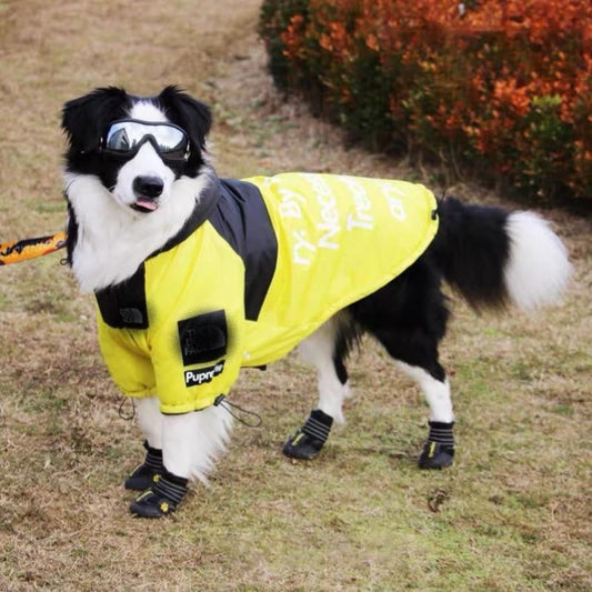 The Dog Face Windproof Waterproof Reflective Pet Cat Dog Jacket | Purrfect Pet Kingdom