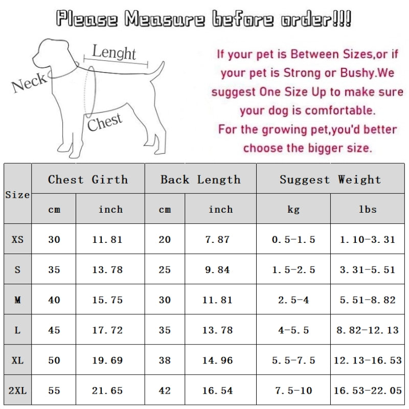 Pet Product - Premium Pet Accessory