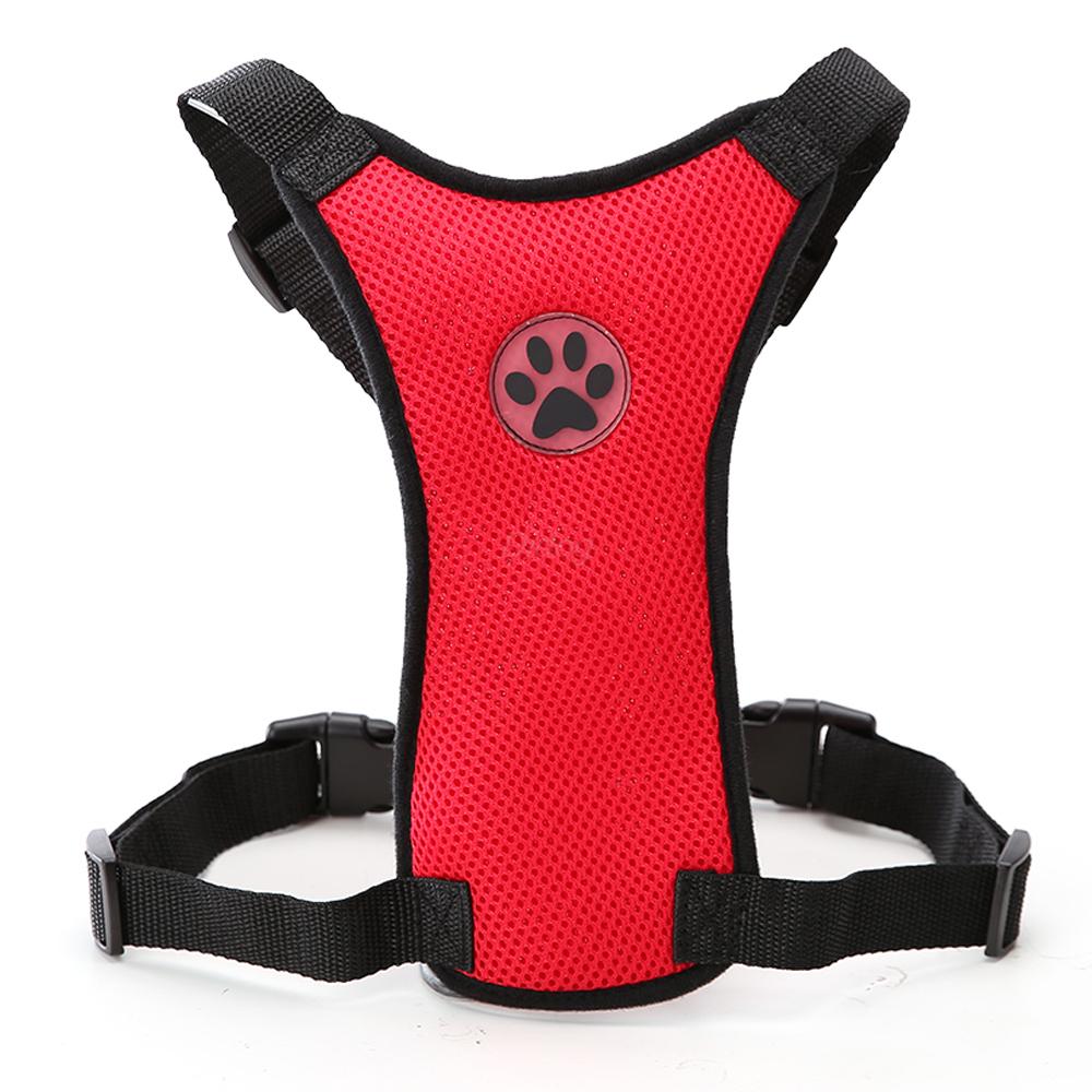 Luxury Pet Essentials - Purrfect Pet Kingdom™