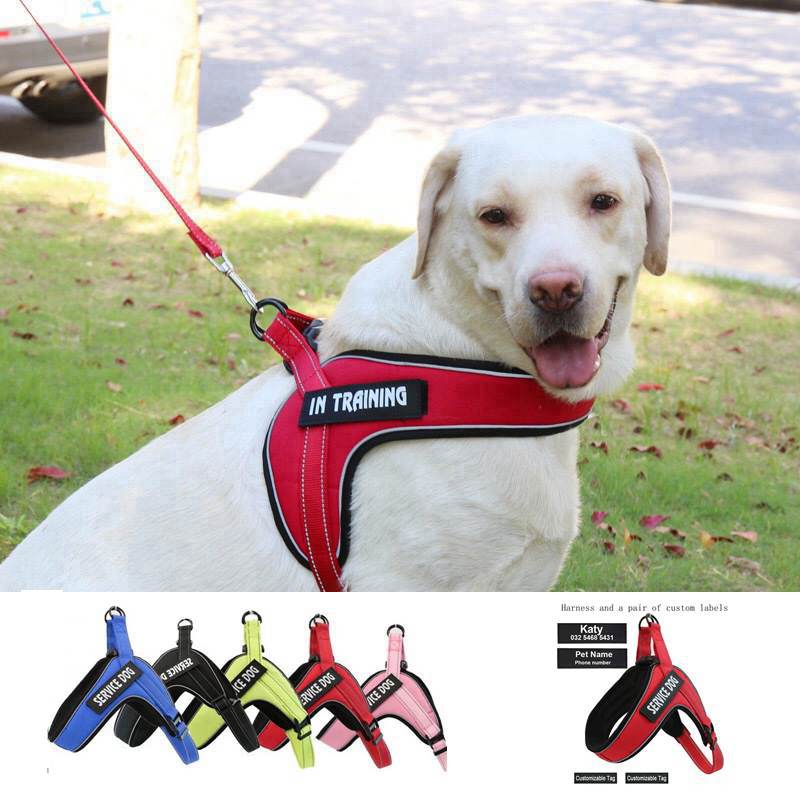 Luxury Pet Essentials - Purrfect Pet Kingdom™