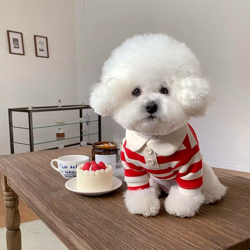 Pomeranian Poodle Small Dog Cat Dog Clothing - Majestic Pet Kingdom
