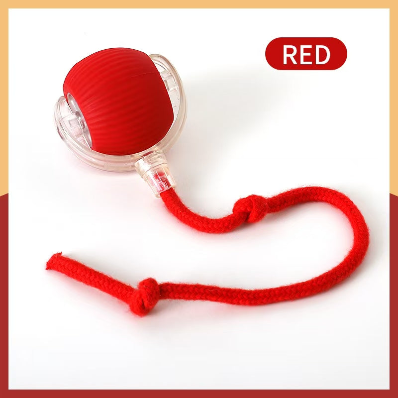 Automatic Dog Ball: Interactive USB Smart Rolling Toy