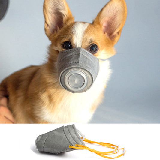 Luxury Pet Essentials - Purrfect Pet Kingdom™