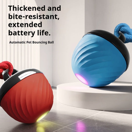 Smart, Chew-resistant Dog Toy Ball To Keep Your Pup Entertained And Help Soothe Teething Discomfort | Purrfect Pet Kingdom