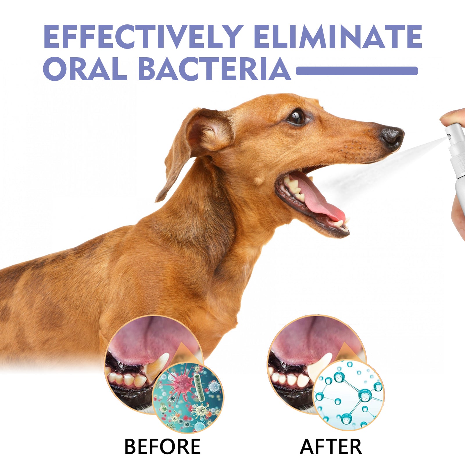 Pet Tooth Cleaning Spray: Oral Care Stain & Plaque Remover