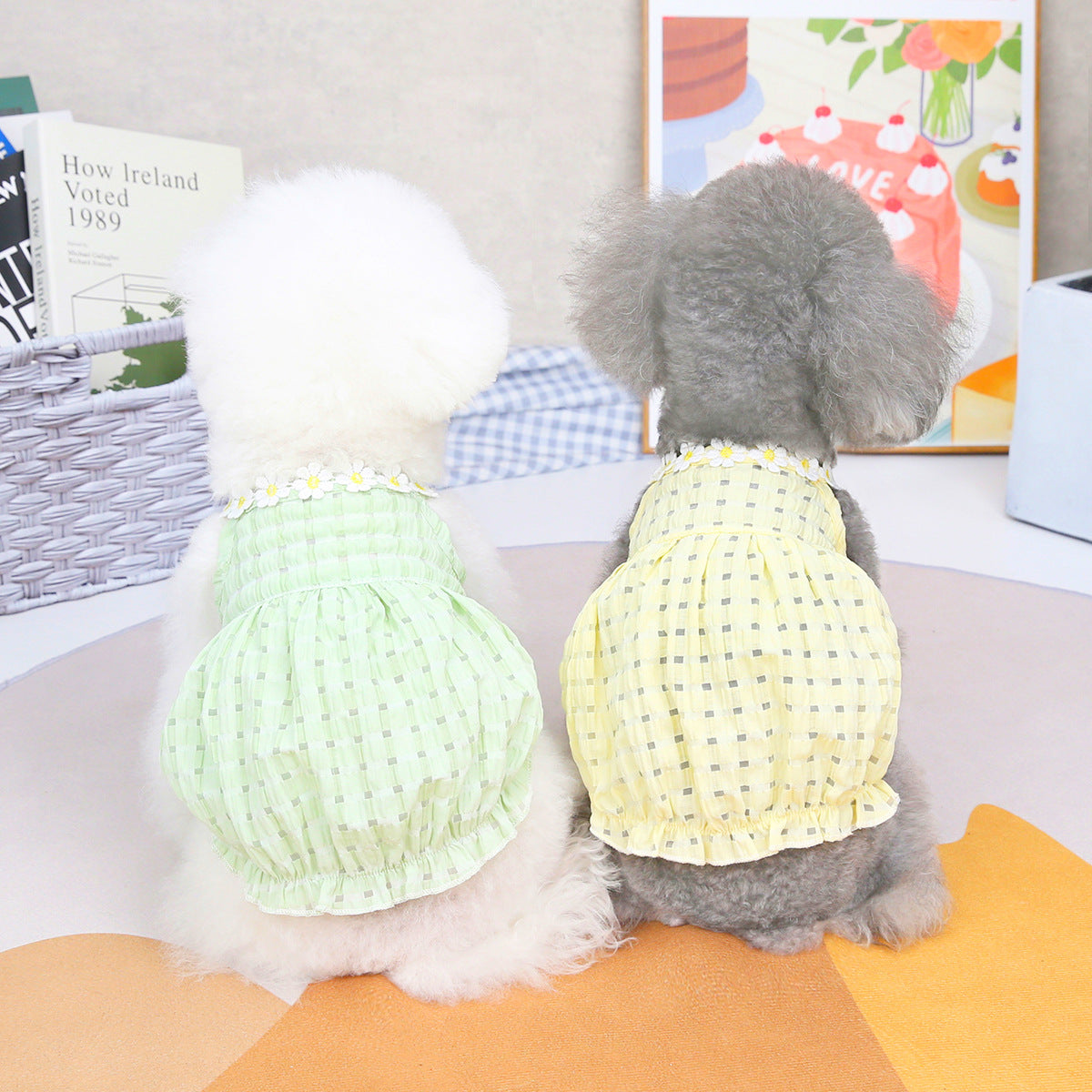 Dog Lantern Sleeve Skirt: Summer Small Pet Dress