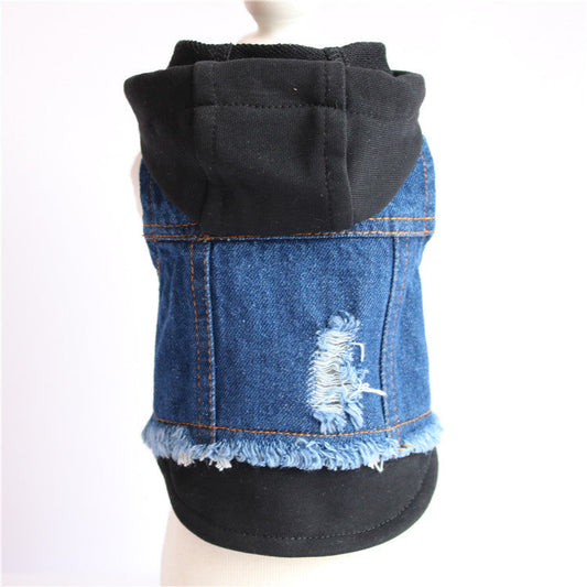 pet-clos-are-better-than-teddy-bears,-teddy-dogs,-spring-summer-outfits,-ripped-denim-vests,-small-vests-luxury-view-2 | Majestic Pet Kingdom