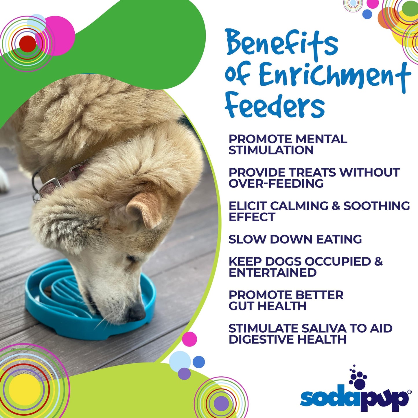 Dog Bowl Baja Design eTray Shallow Slow Feeder Eating Dish - Detail Angle 3 | Majestic Pet Kingdom