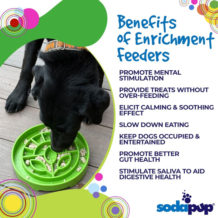 Dog Bowl Garden Design eTray Shallow Slow Feeder Feeding Dish - Detail Angle 4 | Majestic Pet Kingdom