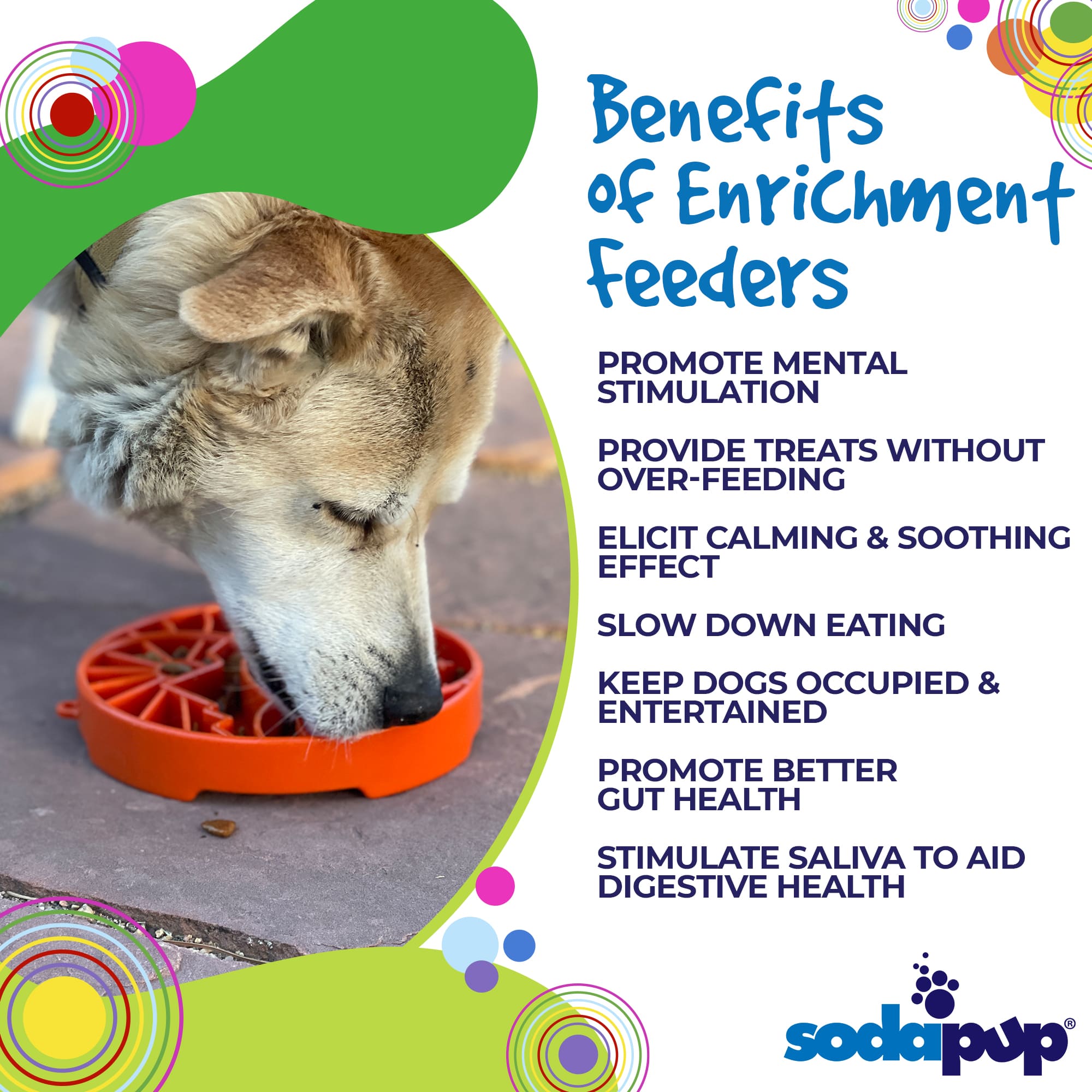 Pet Supply Product | The Finest Market