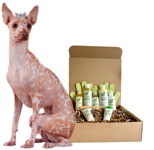 Complete Regular Skin Care Grooming Kit for Hairless Dogs
